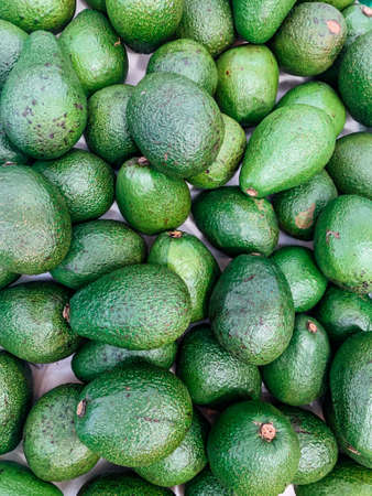 lots of ripe green avocado for cooking as a backgroundの写真素材