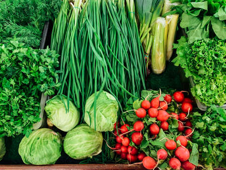lots of ripe vitamin vegetables for cooking as a backgroundの写真素材