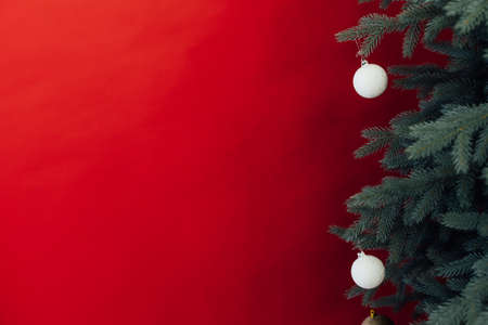 Christmas tree pine with gifts new year interior decor place for inscriptionの写真素材