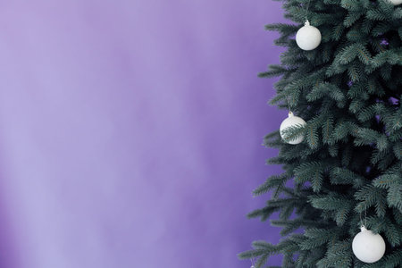 branches of Christmas tree decor for the new year
