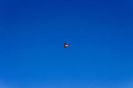 Old plane flies alone in blue sky airplane