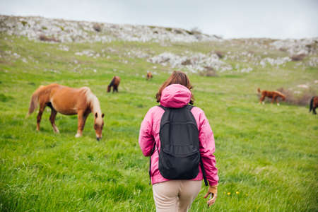Girl looks at herd of horses grazing on green meadow in mountainsの写真素材