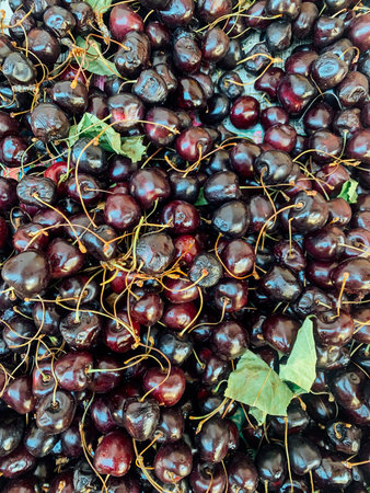 lots of sweet cherries for food as a background