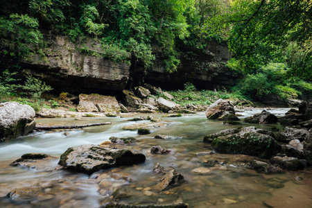 gorge with a mountain river in a green forest