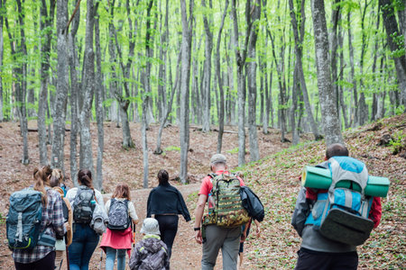 travelers climb the mountain in a forest hike