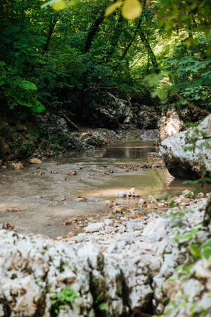 fast mountain river in a green forest landscapeの写真素材