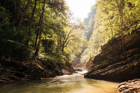 beautiful mountain river in a green forest landscapeの写真素材