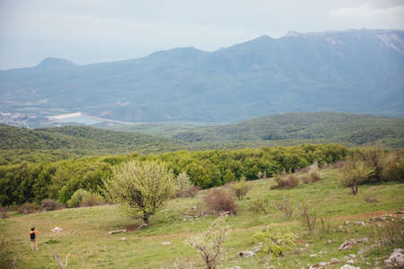 beautiful landscape on top of the mountain view of the forest and skyの写真素材