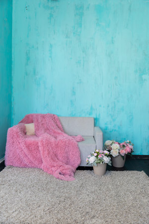 Grey sofa with pink blanket and flowers in blue roomの写真素材