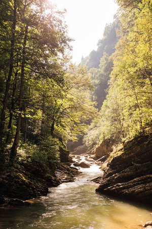 beautiful mountain river in the forest on a hike travel tourismの写真素材