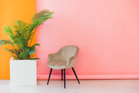 armchair and decorative flower on a pink orange background interiorの写真素材