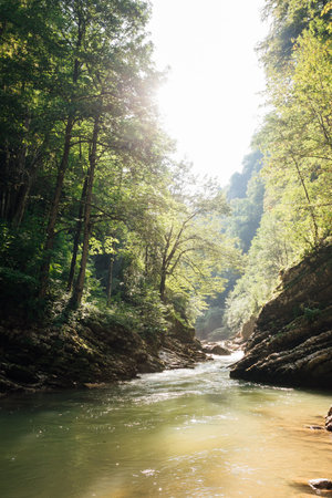 traveling river hike in a green forest in the rocks