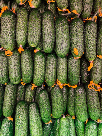 ripe cucumbers vegetables healthy nutrition proper food as a backgroundの写真素材