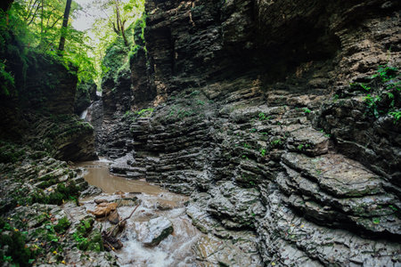 mountain stream among the rocks in the forest in nature journey hikingの写真素材
