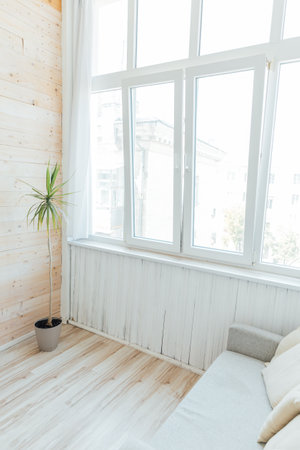 a sofa with a green plant stands by the window in a bright roomの写真素材