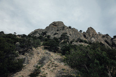 large high mountains with green forest nature hikeの写真素材