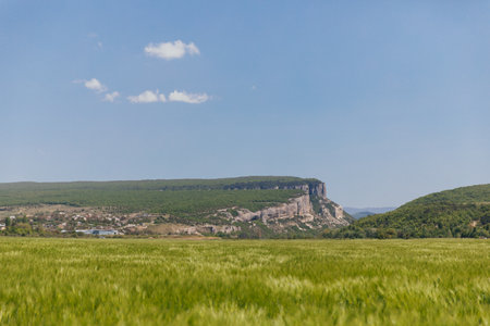 field with green wheat mountains far blue sky natureの写真素材