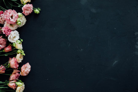 white pink flowers on a black backgroundの写真素材