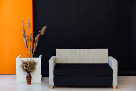 Sofa on black background decorative flowers interior in the roomの写真素材