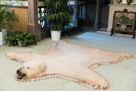 The skin of a bear on the floor by the fireplaceの写真素材
