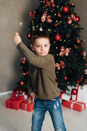 Boy with sparkler celebrates New Years Eve Christmasの写真素材