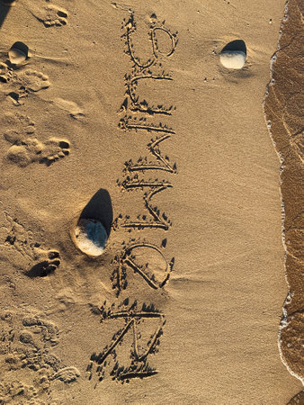summer on the sand on the beach rest travel seaの写真素材
