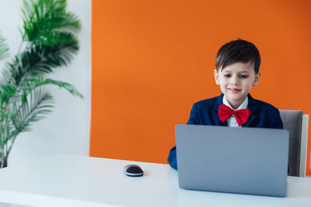 Education Lessons Boy Schoolboy Learns At Computer Online