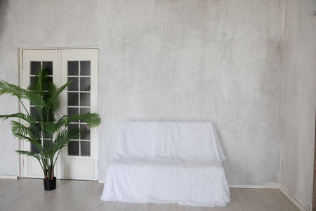One White Sofa With Green Plant In Empty White Room Interiorの写真素材