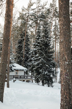 house in a winter snowy forest
