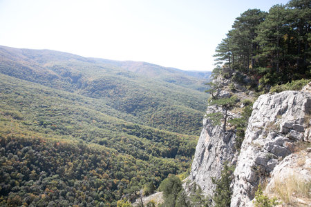 landscape on the forest from the top of the mountainの写真素材