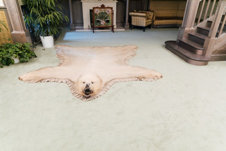 Bear skin on the floor in the interior of the roomの写真素材