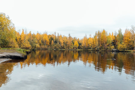 Landscape of a lake and an autumn forest with fallen leavesの写真素材