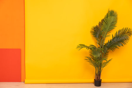 A green palm tree in the interior of a yellow-orange living roomの写真素材