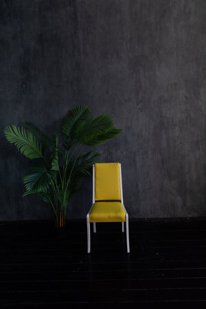 Yellow chair and green plant in empty living room interiorの写真素材