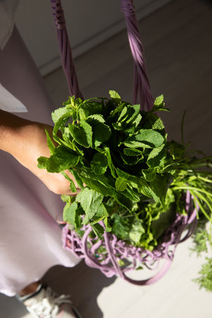 Woman holding bag with green mintの写真素材