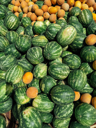lots of watermelons and yellow melons for food as backgroundの写真素材