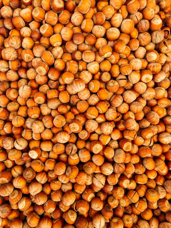 lots of hazelnuts for cooking as a backgroundの写真素材