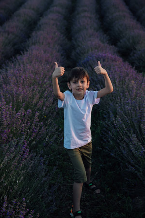 The boy shows his fingers up in a field of lavenderの写真素材