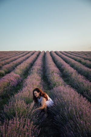 Woman in light dress in lavender field before harvestの写真素材