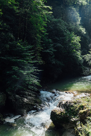 Beautiful landscape, green forest and mountain river waterの写真素材