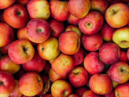 lots of ripe berries apple for food as backgroundの写真素材