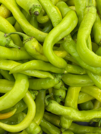 lots of green chili peppers for cooking as backgroundの写真素材