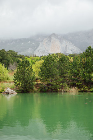 Beautiful landscape of green forest lake with mountains in the backgroundの写真素材