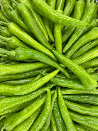 lots of green hot chili peppers for food as backgroundの写真素材