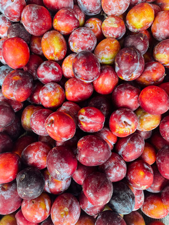 lots of ripe plum berry fruit for food as backgroundの写真素材