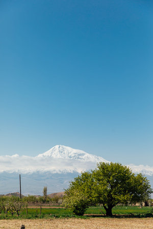 Beautiful landscape on Mount Araratの写真素材
