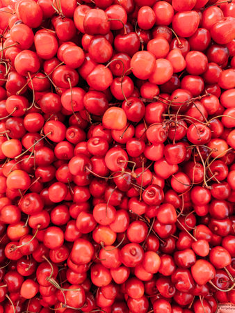 lots of red cherries for food as background