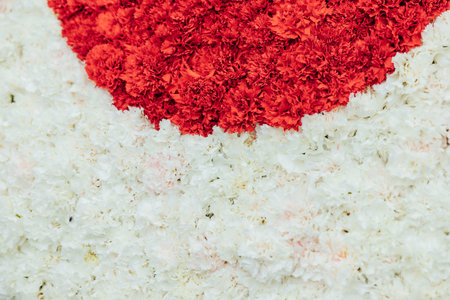 white and red flowers background