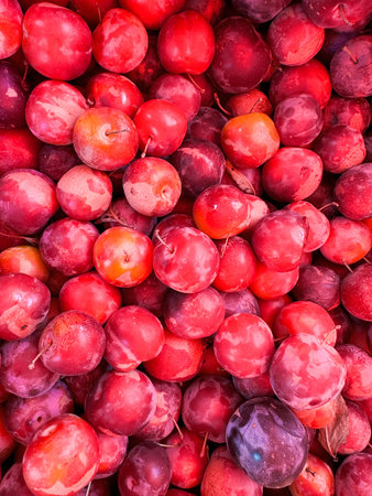 lots of ripe plum for food as background