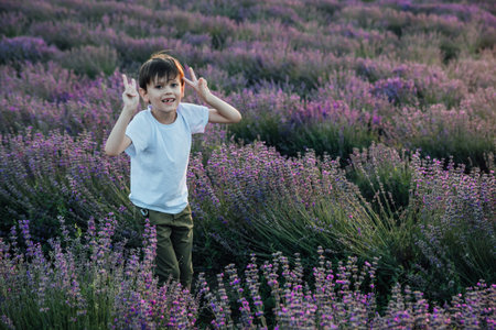 The boy smiles and raises his hands in the lavender fieldの写真素材